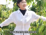 李雨禅被刑拘后续：封号只是开始果农含泪曝细节 民事追责在路上